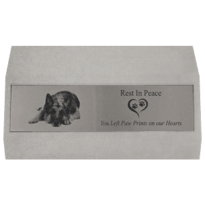 Personalised Desktop Pet Memorial